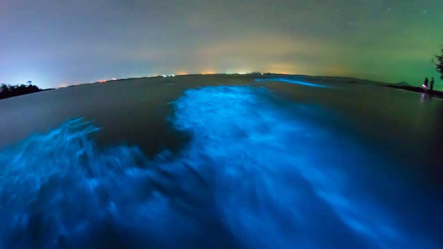 View of the glowing bioluminescent bay in Guanica