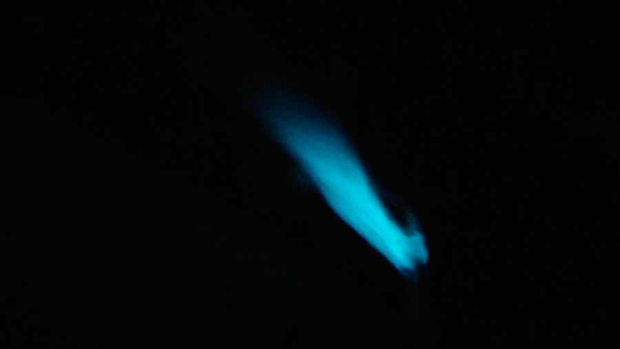 The glowing water at Bio Bay in Laguna Grande