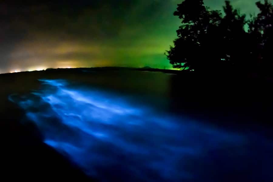 View of bioluminescent plankton taken with long exposure at night