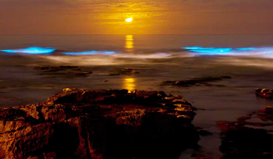 View of the bioluminescent waves in Oceanside
