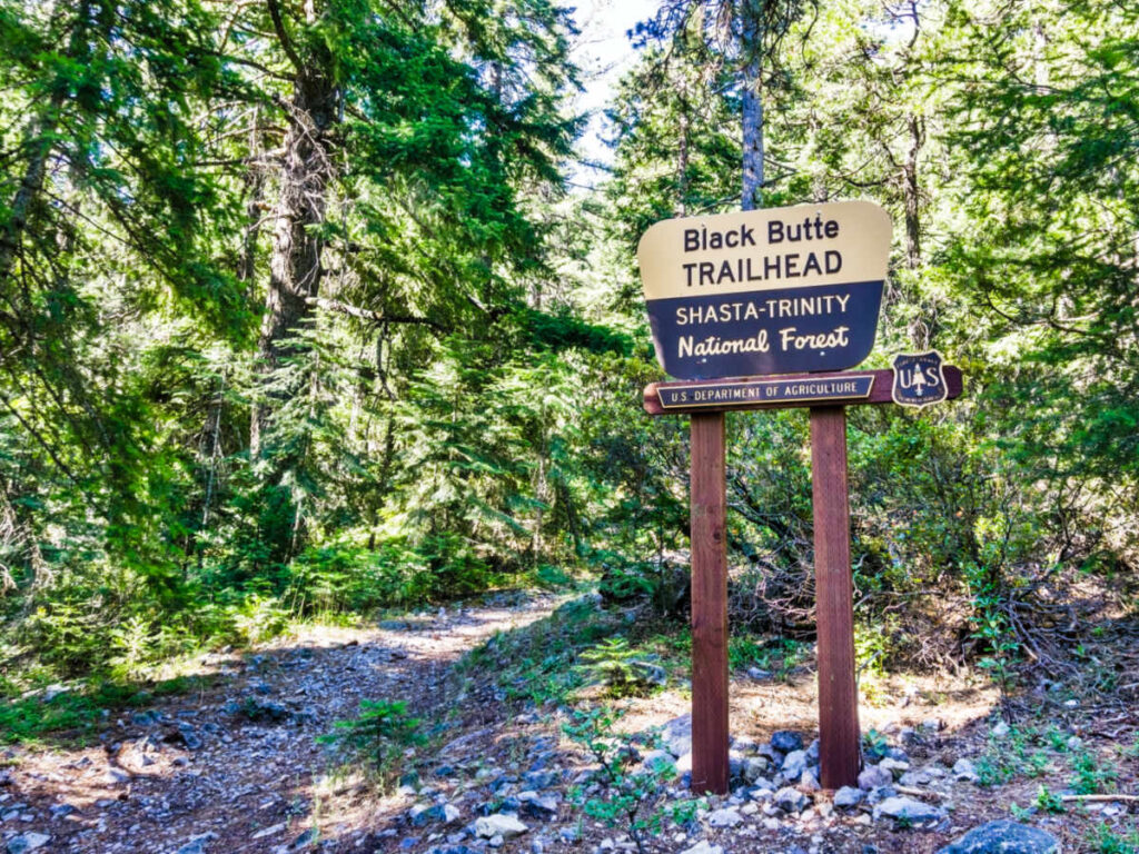 Signage of Black Butte Trail in the middle of the forest
