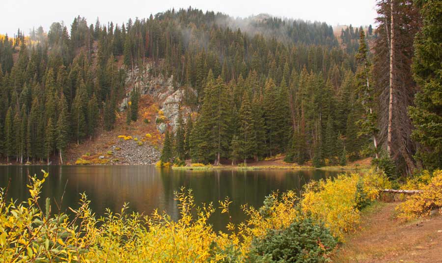 View at the Bloods Lake Trail in autumn season
