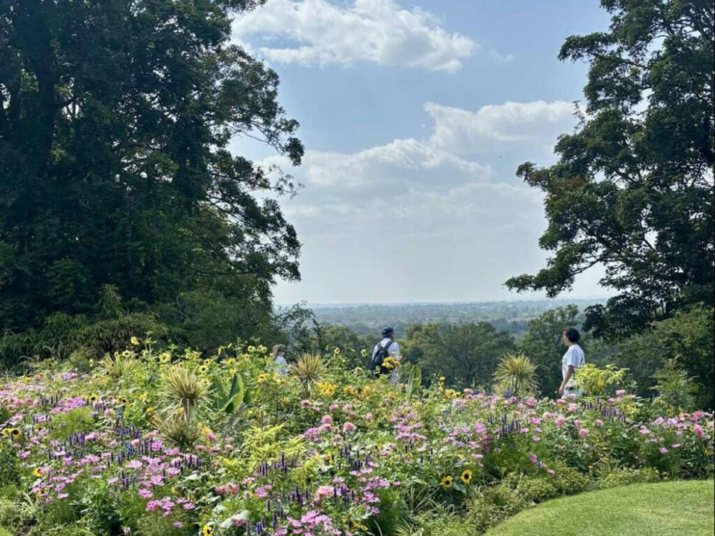 Scenic overlooking view and the blooming flowers in Richmond