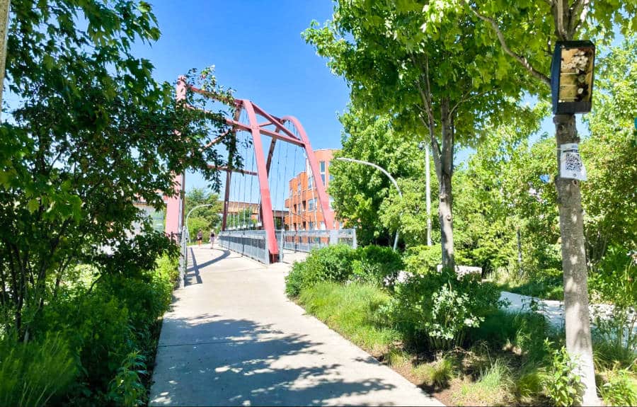 View of the bridge from the trail surrounded with greenery