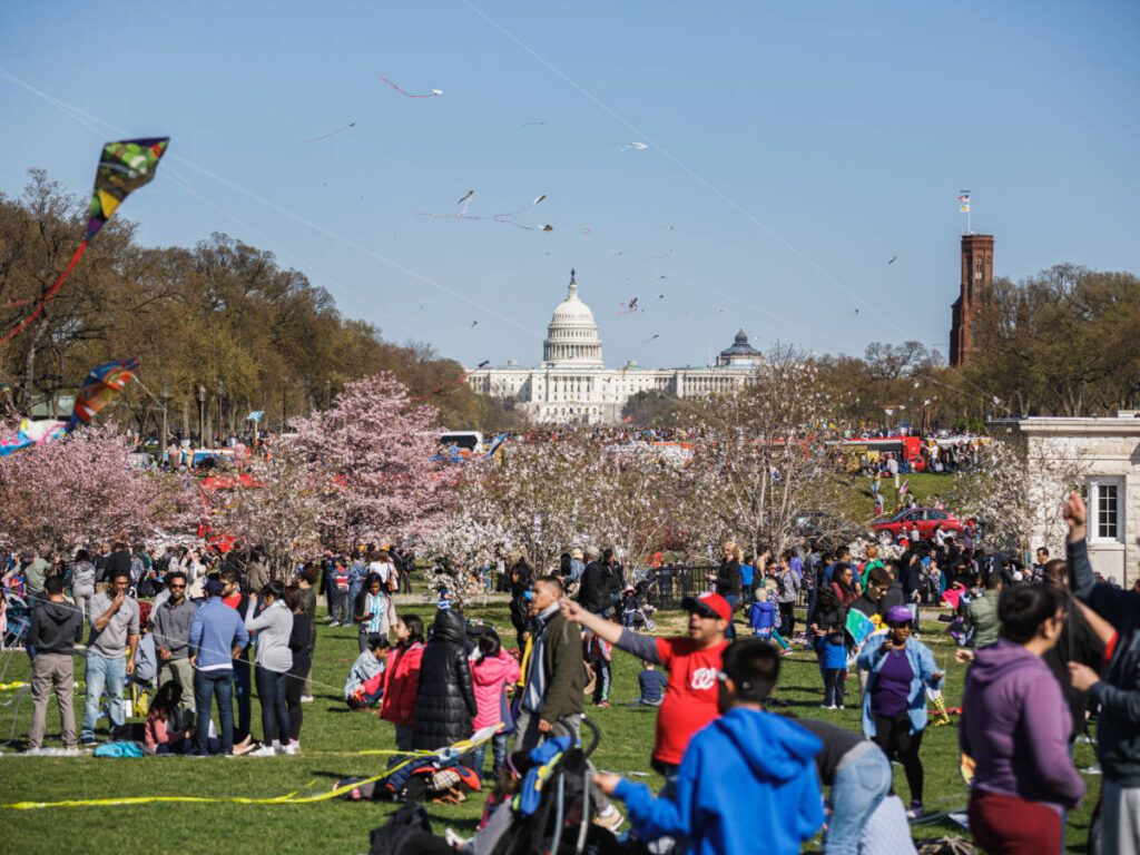 View of people at the Blossom Kite Festival