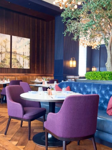 View of the gorgeous interior of Blue Aster