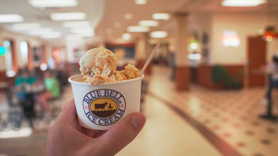 A hand holding a cup of ice cream from Blue Bell Creameries
