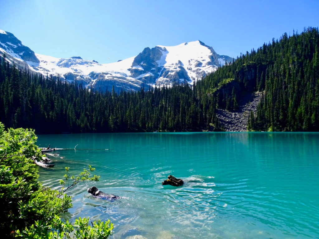 Joffre Lakes: A stunning alpine lake surrounded by majestic mountains and vibrant blue waters