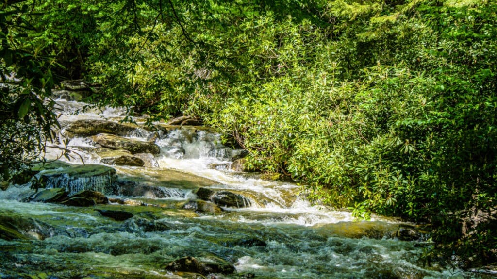Water flowing on a river around Blue Ridge Mountains