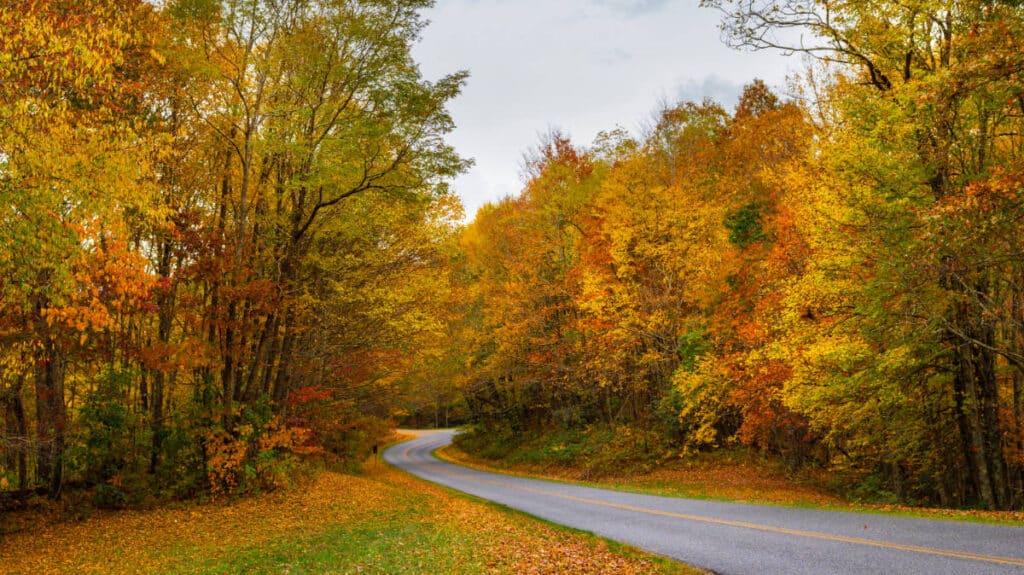 View at the Blue Ridge Parkway during fall season