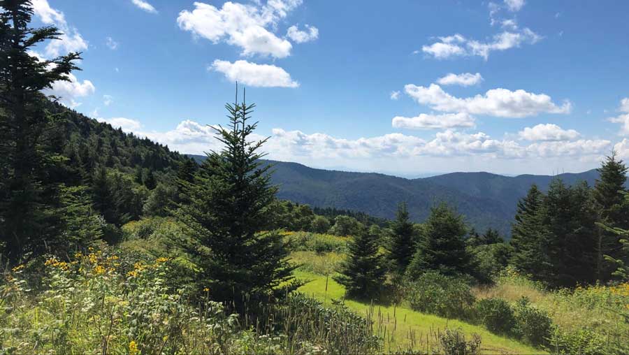 Scenic view at the top of the Blue Ridge Parkway during summer season
