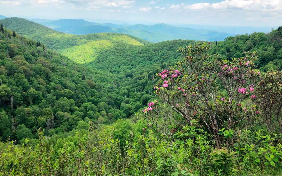 Scenic view of the Blue Ridge Parkway