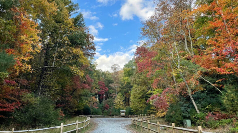 View of the fall foliage around the hike to Blue Ridge