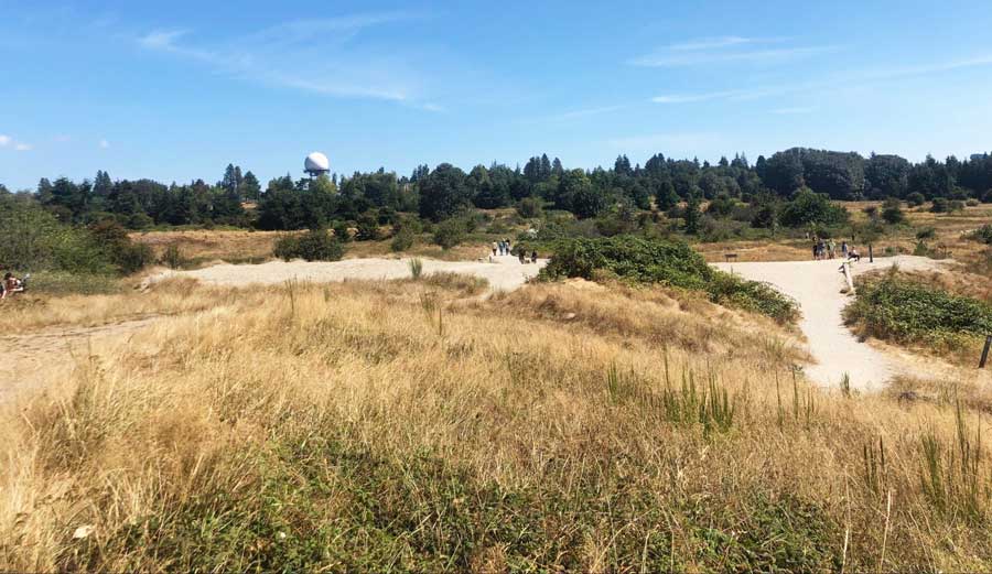The bluff trail at Discovery Park under the clear blue sky