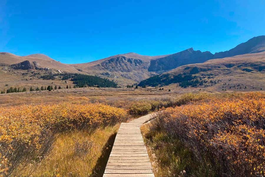 View of a footwalk at the Mount Bierstadt