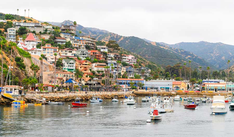 View of boat rentals on the water of Catalina Island