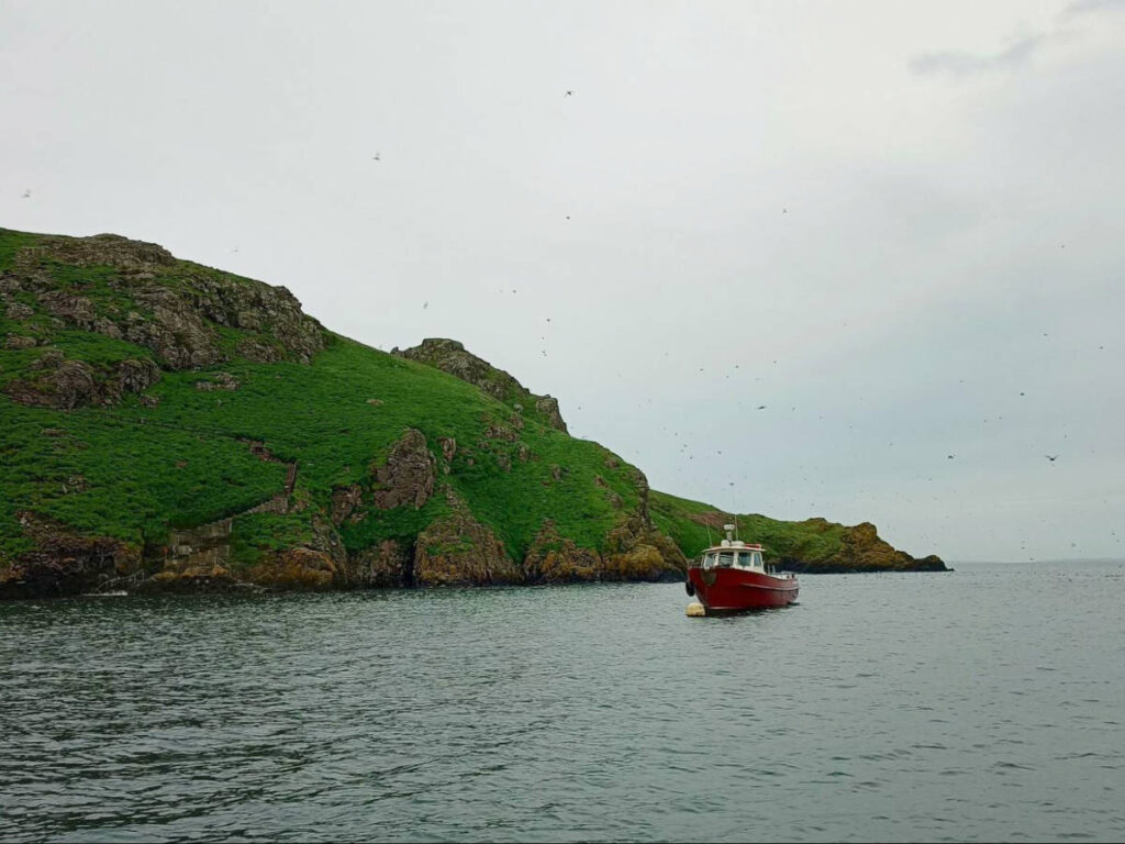 A boat sailing around the lush Skomer Island