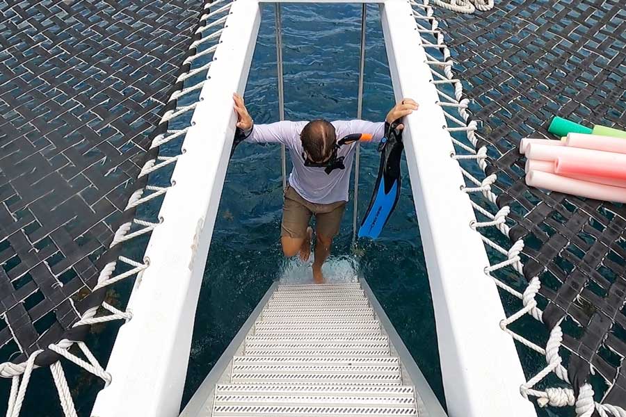 The author climbing up to their boat after snorkeling