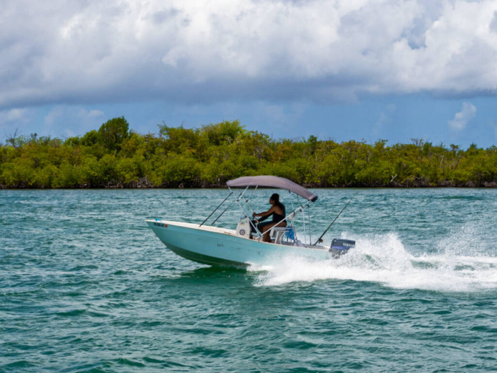 A man navigating a small boat on the calm water