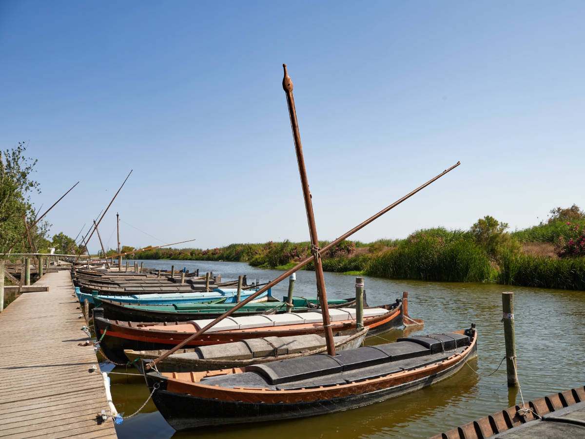 View of the traditional boats docked at Albufera Natural Park