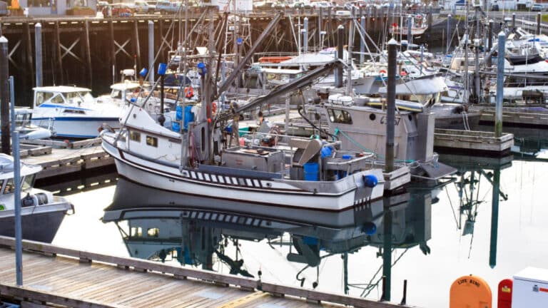 View of the docked boats near the boardwalk at Kodiak Harbor, one of the best places when choosing where to stay in Kodiak Alaska