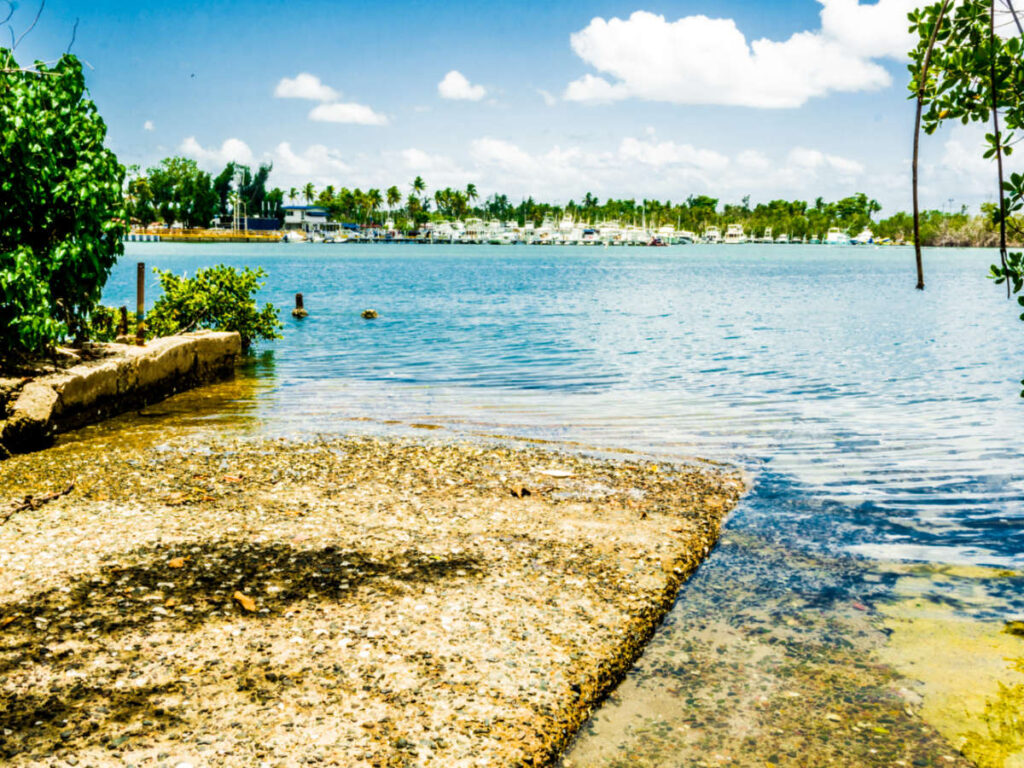 The boats docked at the marina in Laguna Torrecilla seen from across the water