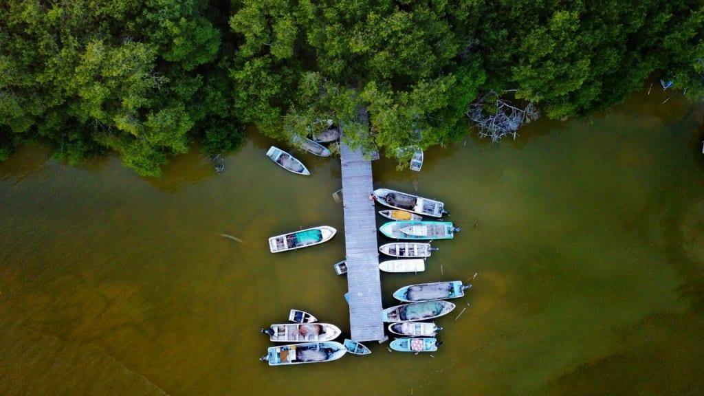 Aerial view of Boats tied up in the Ria Celestun