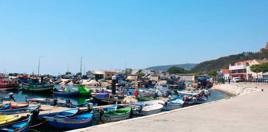 Colorful boats on a the water in Setubal