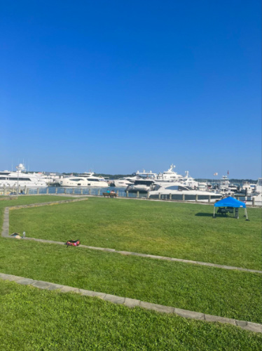 View of Mitchell Park and the boats docked nearby