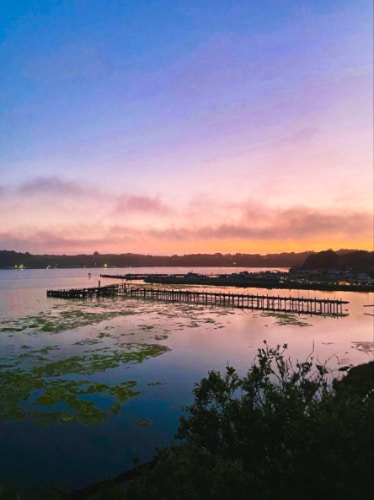 Scenic sunset view in Bodega Bay, seen From PCH