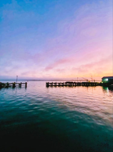 View of the pink and purple sky over Bodega Bay