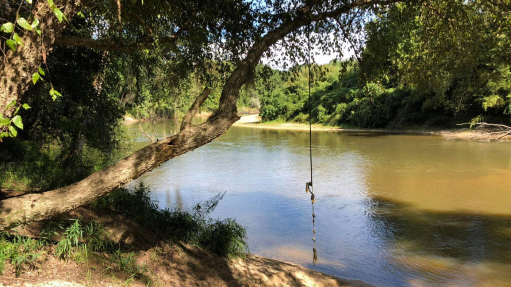 View of a rope at the Bogue Chitto State Park