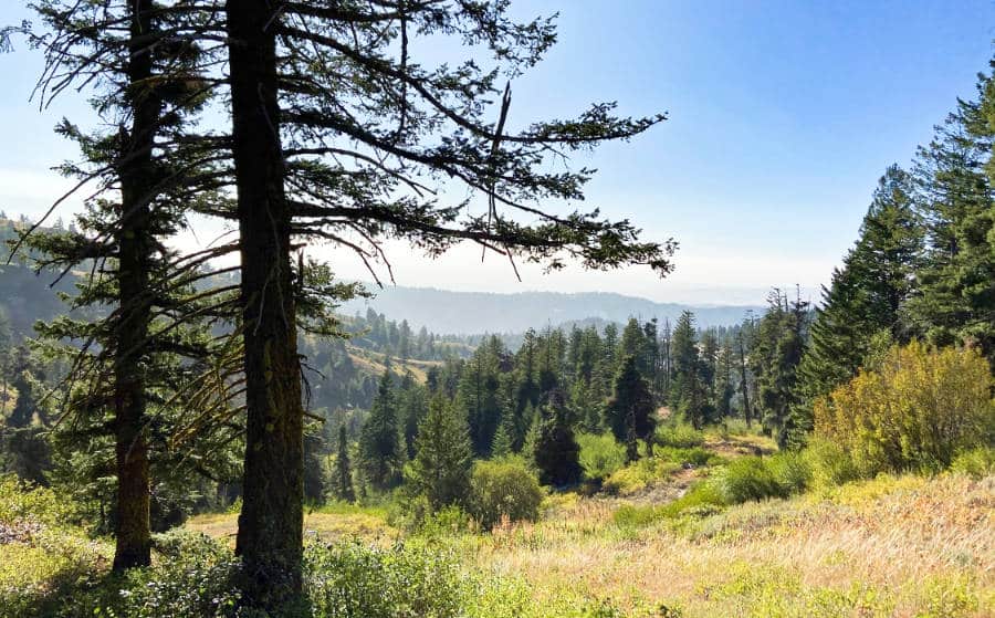 View of the gorgeous mountain at the top of Bogus Basin in Idaho, with trees and blue sky in distance