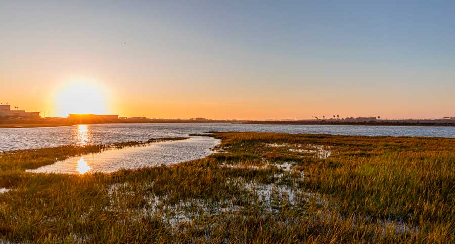 View from the Bolsa Chica Ecological Reserve during sunset