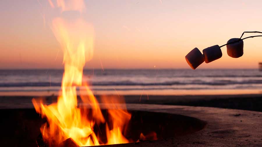 A campfire and mallows on a stick with a beach on the background