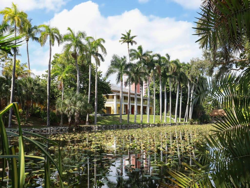 View of palm trees at the Bonnet House Museum & Gardens