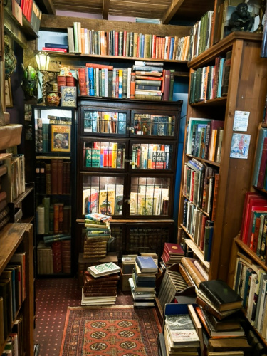 A packed space with displayed books inside The Gently Mad