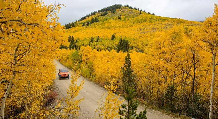 Yellow mountain view from Boreas Pass Road