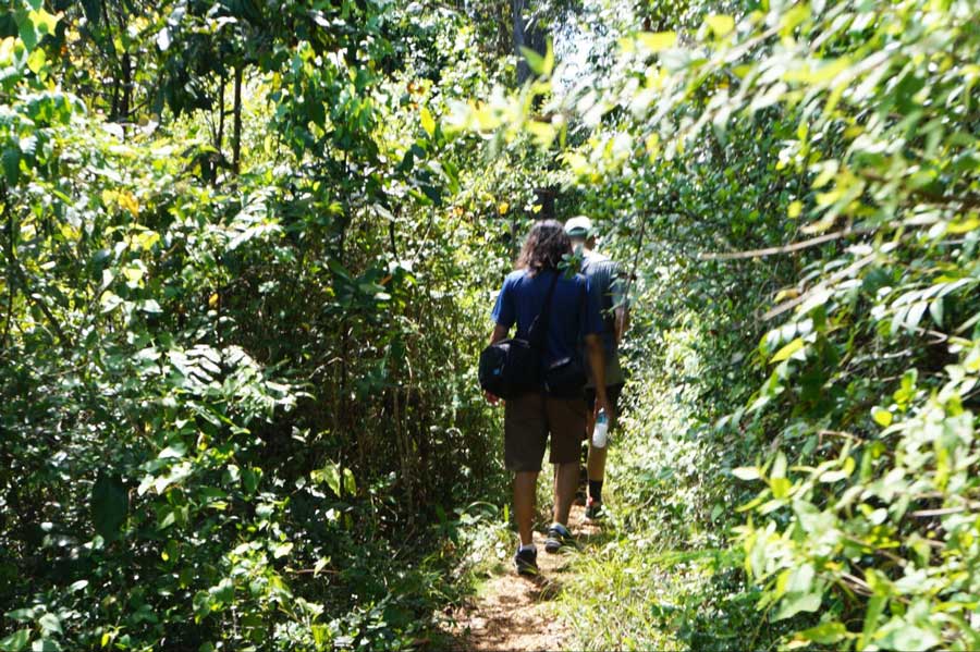 View of two people going on a hike in Bosque Estatal de Guajataca