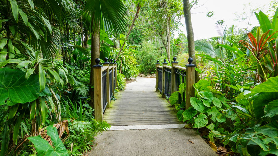 View of a botanical garden and a short bridge