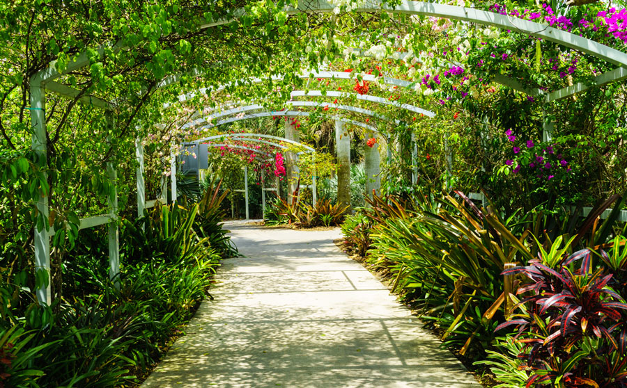 View of flower arch in Botanical Gardens in Naples