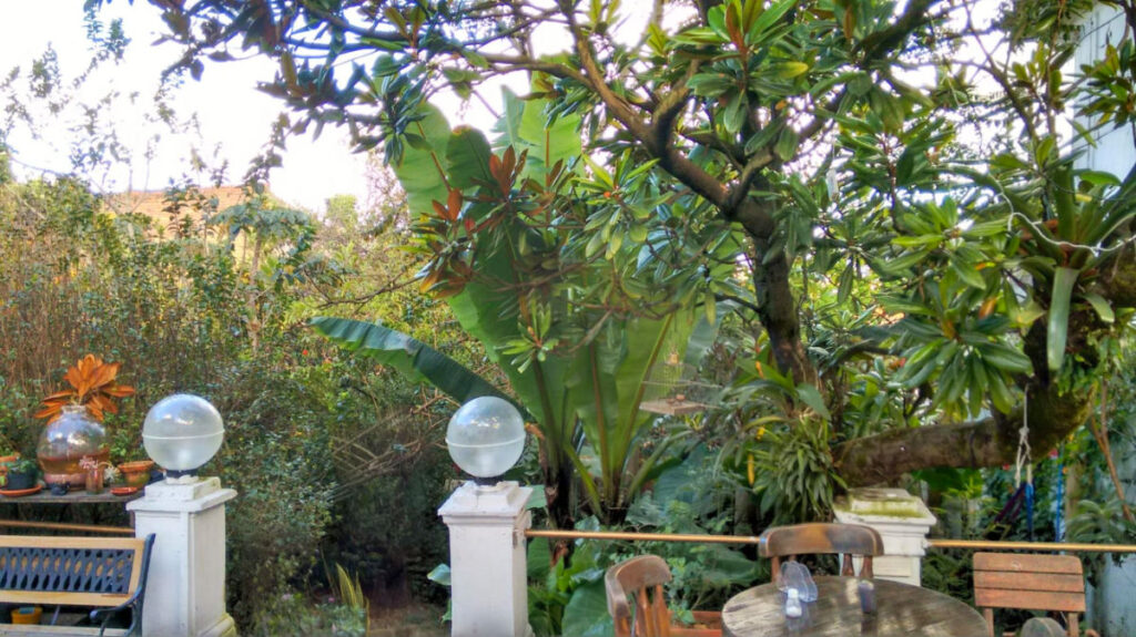 View of the Botanico Hostel Bogotá garden