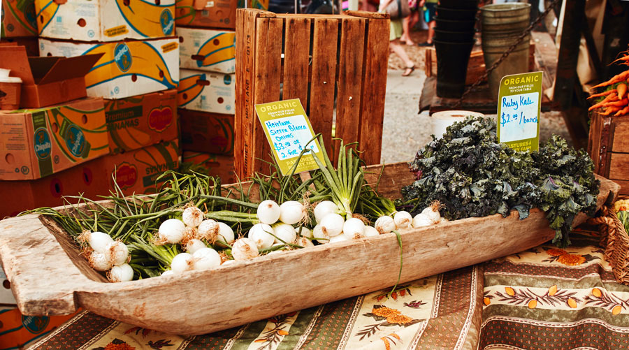 View of goodies from Boulder Farmers Market