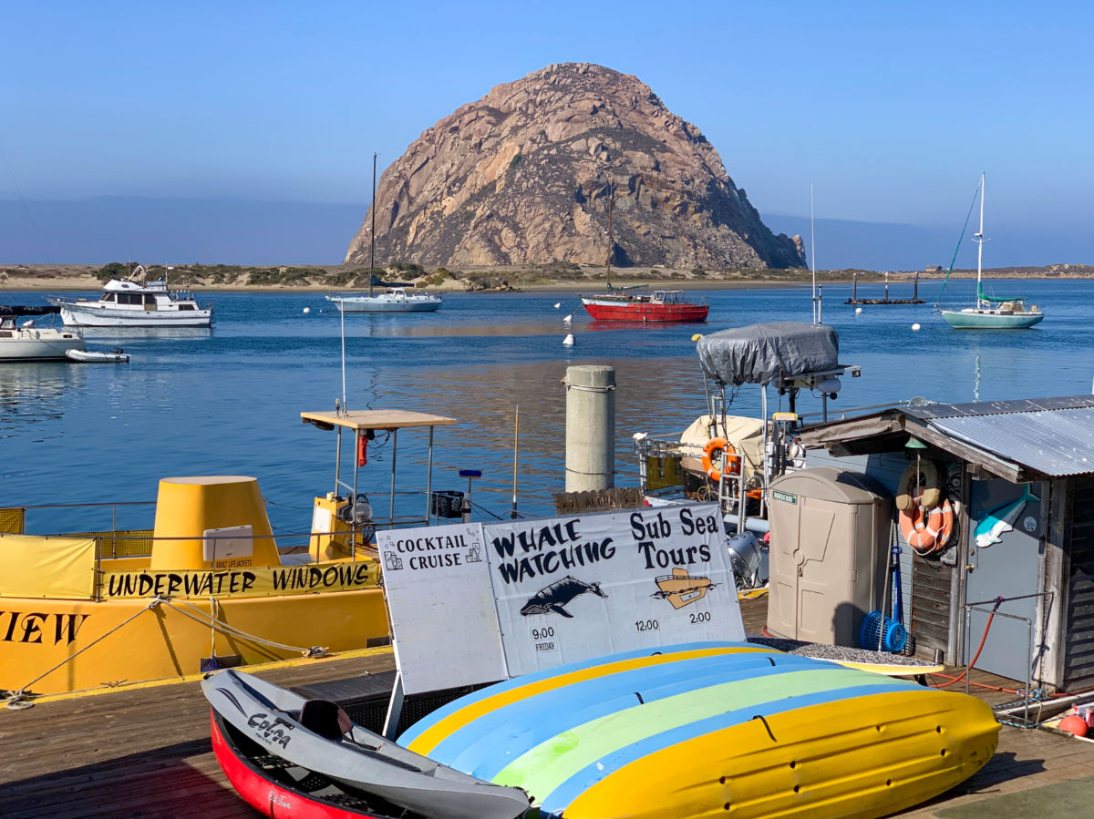 Whale watching and sub sea tours at Morro Bay Harbor with Morro Rock in the background
