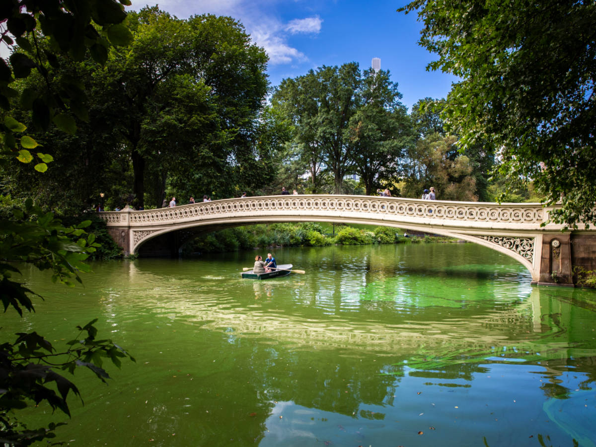 Tourists rowing boat on The Lake in Central Park under the famous Bow Bridge in New York city