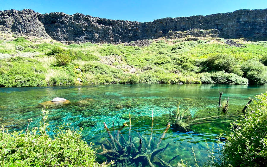 View of the pristine turquoise spring water at the Box Canyon State Park