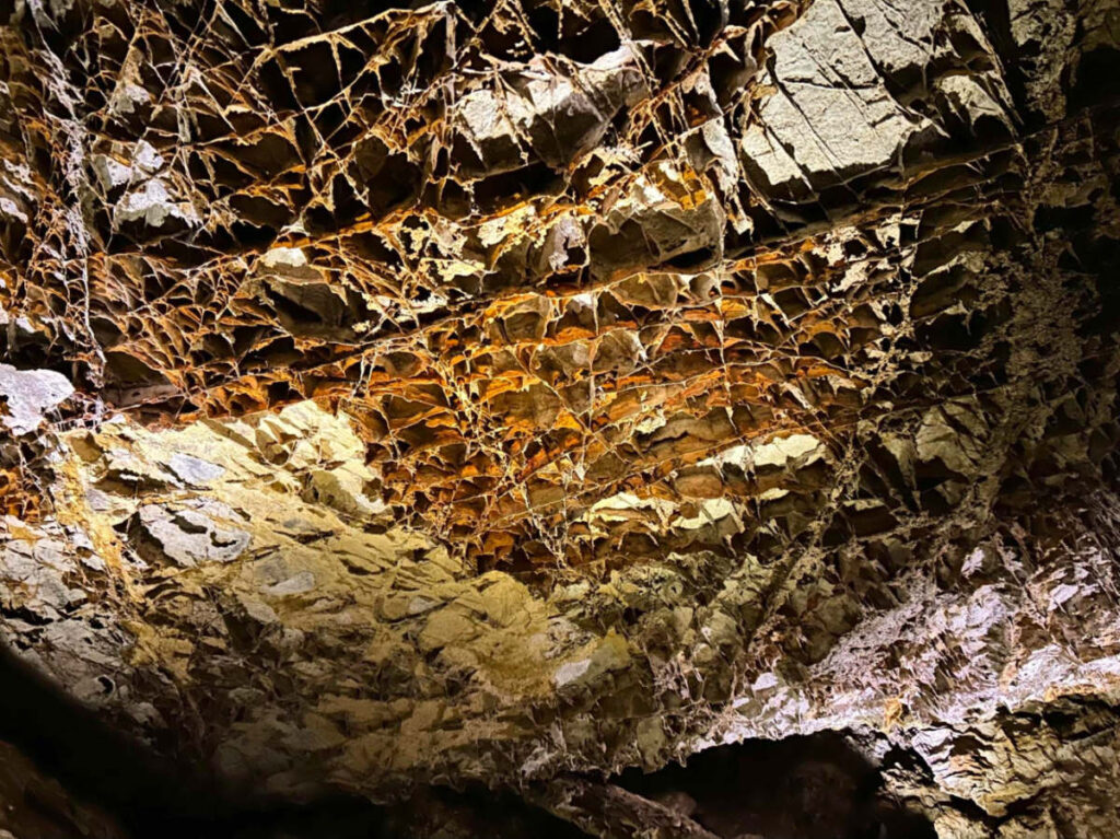 Boxwork sticking out from the walls and ceilings at Wind Cave National Park