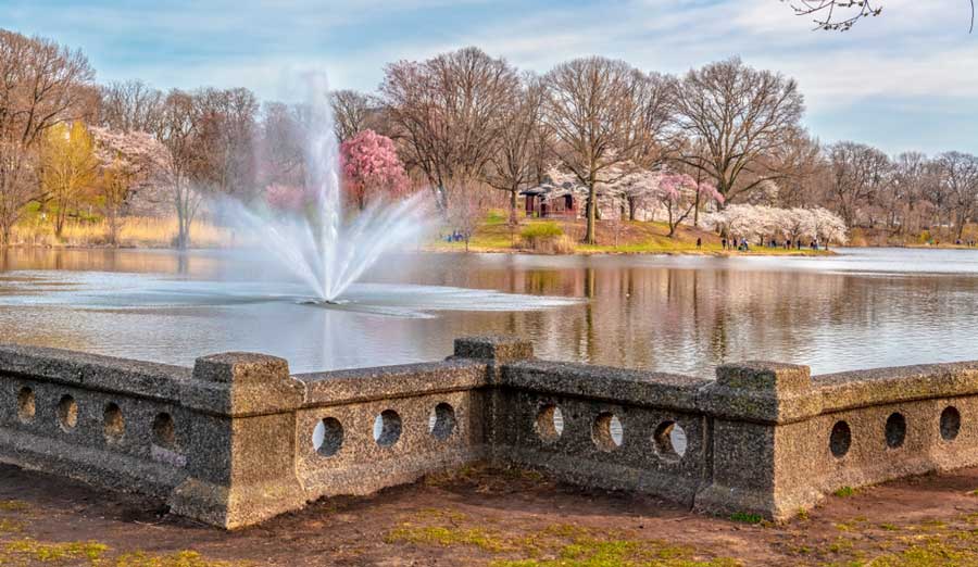 A water fountain in Branch Brook Park