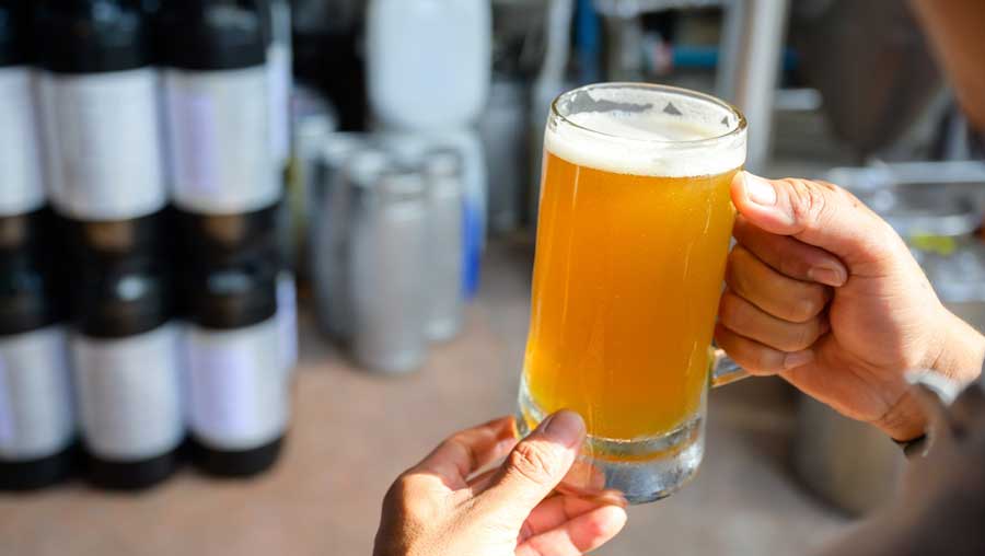 A hand holding a beer mug in Cape May