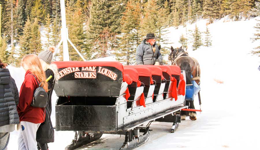 View of a sleigh ride from Brewsters Lake Louise Stables